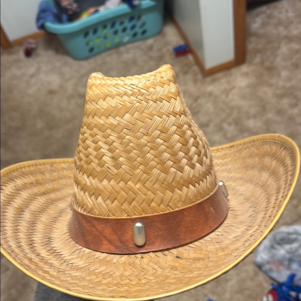 Straw Cowboy Hat with Brown Band